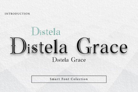 Distela Grace Font for Web Design